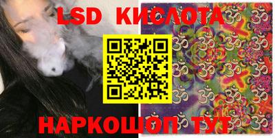 стаф Новозыбков