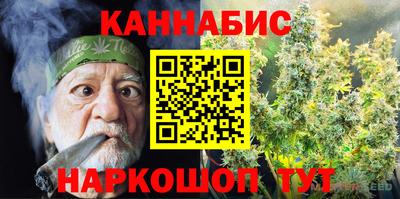 a pvp Новодвинск