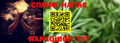 a pvp Новодвинск