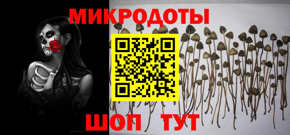 Галлюциногенные грибы ЛСД  Псилоцибиновые грибы Psilocybine cubensis  Симферополь  Вход с VPN 